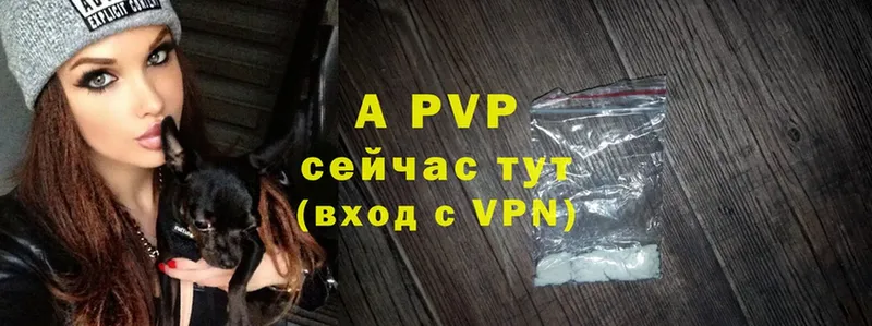 A PVP СК КРИС Людиново